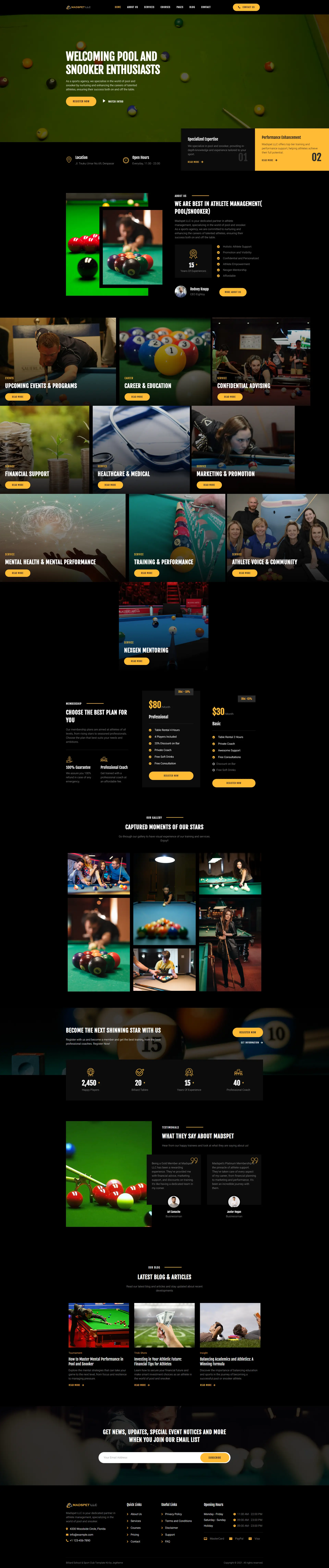 Madpet - Sports Agency Website Layout